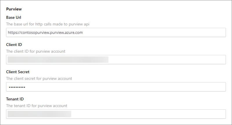 Input Microsoft Purview credentials